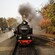 Smoke billowing out of a steam engine on the tracks